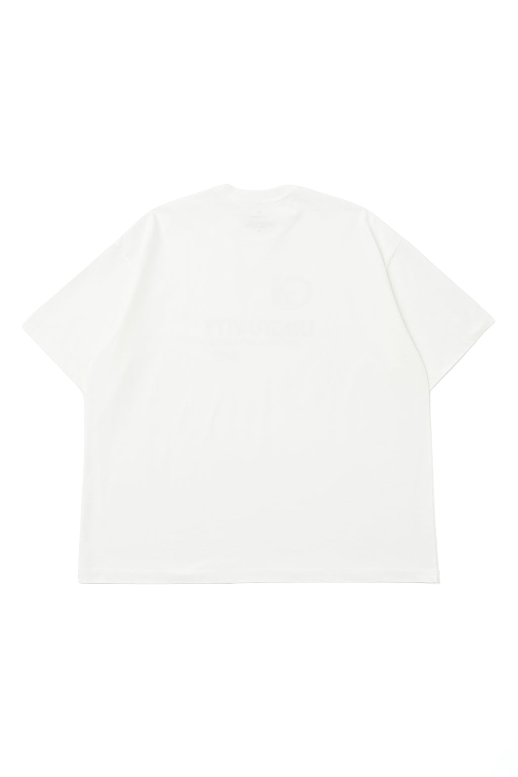 Heavy Jersey PRINT TEE