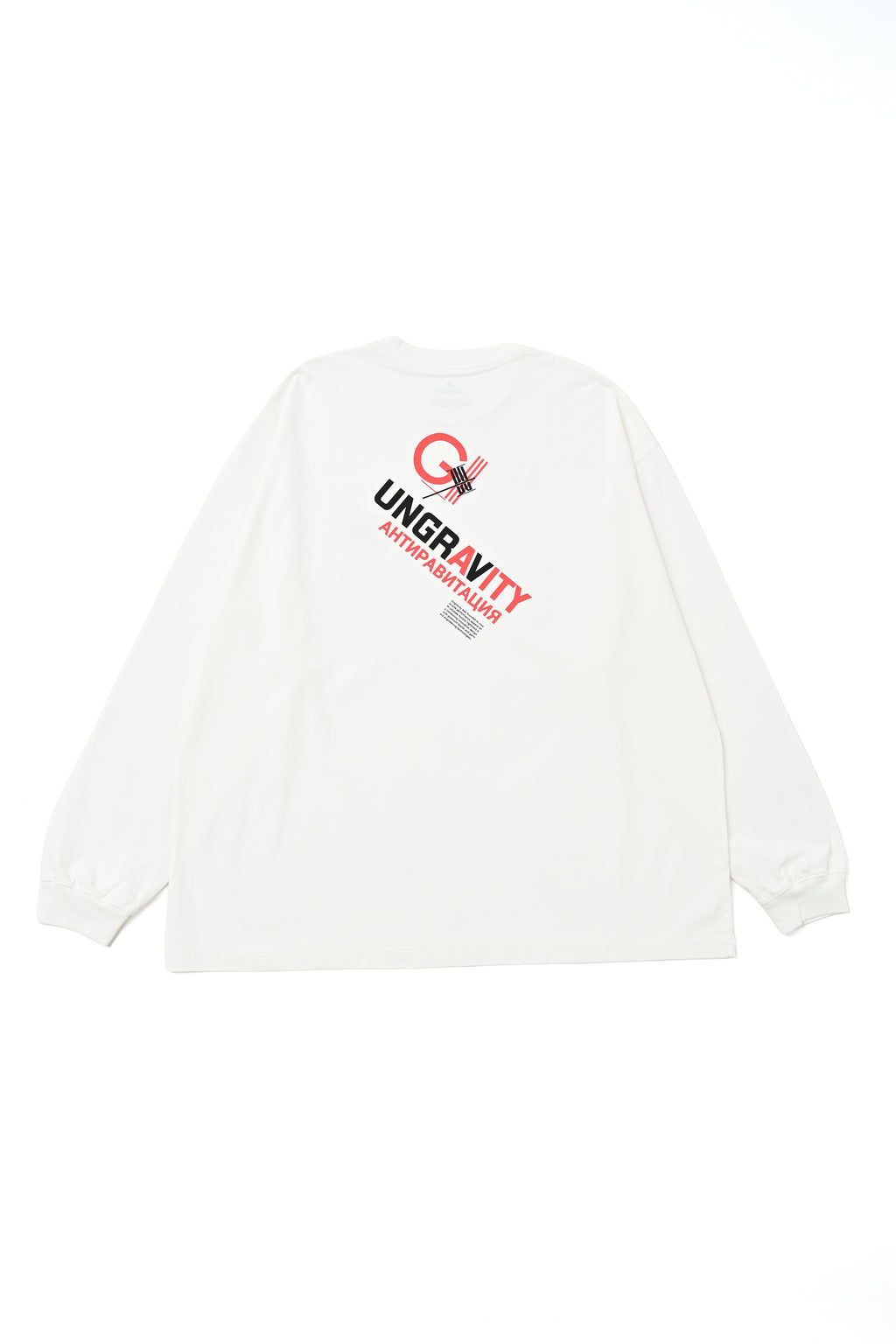 Heavy Jersey L/S PRINT TEE