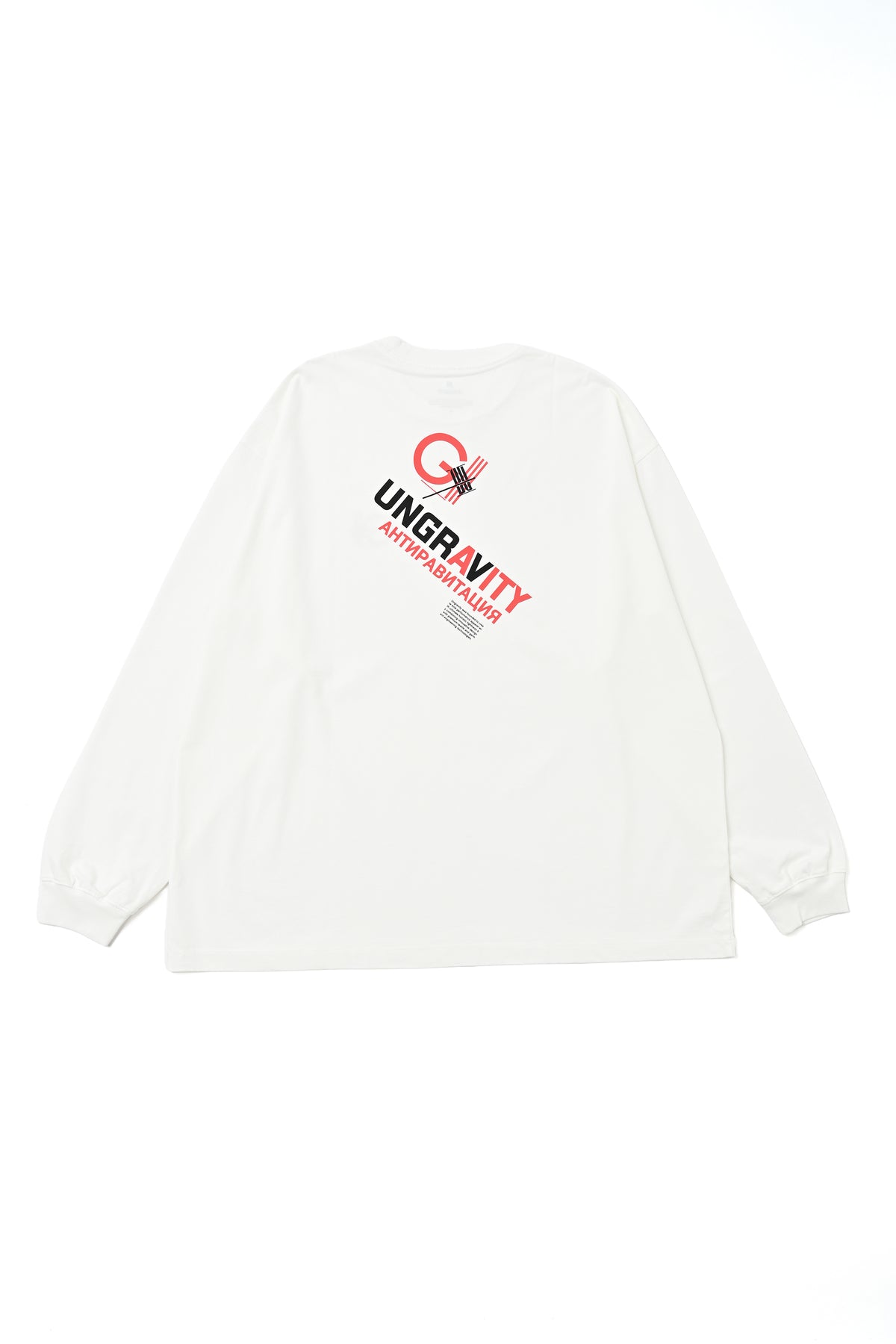 Heavy Jersey L/S PRINT TEE