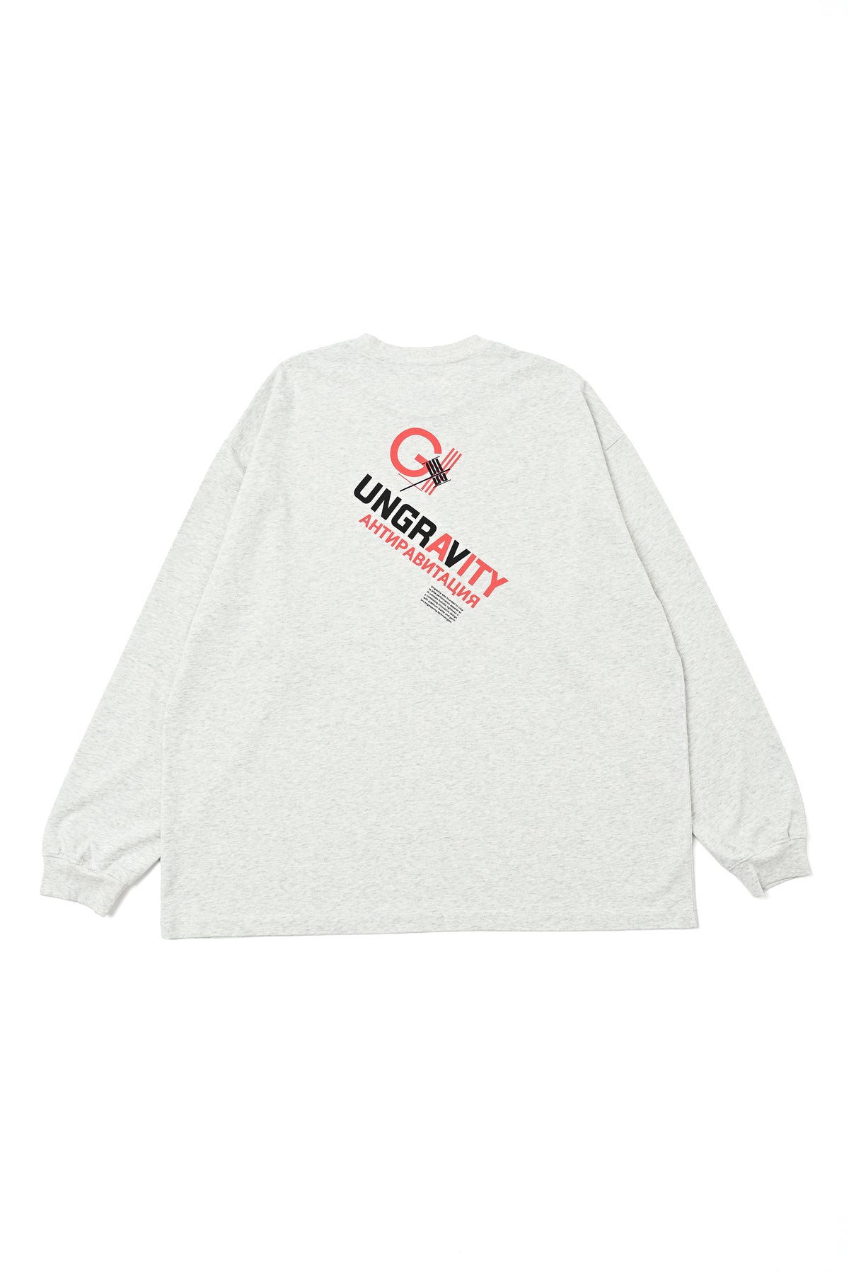Heavy Jersey L/S PRINT TEE